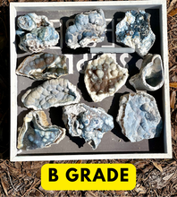 Load image into Gallery viewer, BIG SELECTION of Agatized Coral Pieces