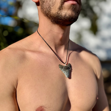 Load image into Gallery viewer, Megalodon Necklace