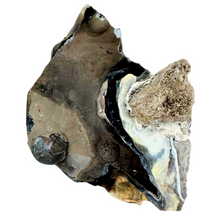 Load image into Gallery viewer, Black & Caramel Botryoidal Coral Geode