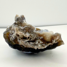Load image into Gallery viewer, Black & Caramel Botryoidal Coral Geode