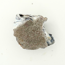 Load image into Gallery viewer, Black & Caramel Botryoidal Coral Geode