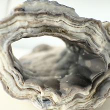 Load image into Gallery viewer, Black & Caramel Botryoidal Coral Geode