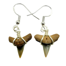 Load image into Gallery viewer, Dangle Earrings (14kt Gold or Sterling Silver)