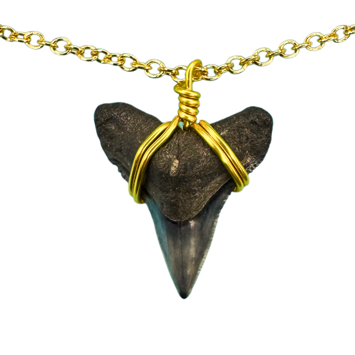 ☆BTS着用☆関税込★PORTRAIT REPORT★“Shark Tooth” Necklace 1127 - Shark Tooth Necklace – Elizabeth Sarah Collections