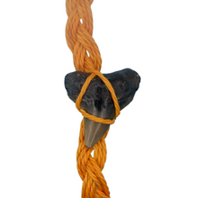 Load image into Gallery viewer, Waterproof Marine Fossil Bracelet