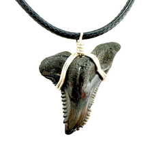 Load image into Gallery viewer, Snaggletooth Marine Fossil Necklace