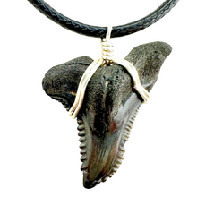 Load image into Gallery viewer, A necklace featuring a large, serrated, fossilized shark tooth mounted on a silver-colored wire against a black cord.