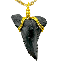 Load image into Gallery viewer, Rare Snaggletooth Marine Fossil Necklace – 14K Gold Pendant