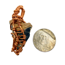 Load image into Gallery viewer, Handcrafted Wire Wrapped Partial Meg Fossil Necklace