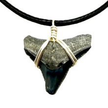 Load image into Gallery viewer, Shark tooth necklace with black cord on a white background