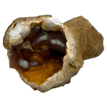Load image into Gallery viewer, Amber & Orange Agatized Coral Geode