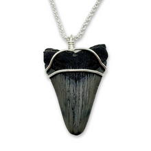 Load image into Gallery viewer, Sterling Silver Rope Chain Megalodon Necklace