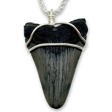 Load image into Gallery viewer, A sterling silver filled rope chain necklace with a megalodon tooth pendant.