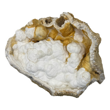 Load image into Gallery viewer, Large White & Orange Agatized Coral Geode