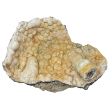 Load image into Gallery viewer, LARGE White & Yellow Agatized Coral Geode