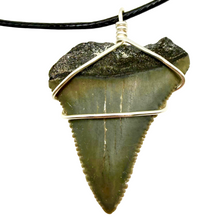 Load image into Gallery viewer, Shark tooth pendant on a black cord against a white background