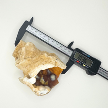 Load image into Gallery viewer, Amber & Orange Agatized Coral Geode