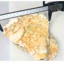 Load image into Gallery viewer, LARGE White & Yellow Agatized Coral Geode