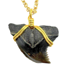 Load image into Gallery viewer, Rare Snaggletooth Marine Fossil Necklace – 14K Gold Pendant