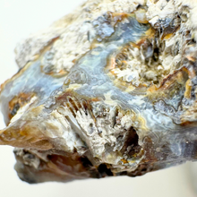 Load image into Gallery viewer, WEIRD Grey & Maroon Botryoidal Coral Geode