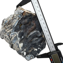 Load image into Gallery viewer,  A one-of-a-kind geode showcasing intricate botryoidal textures and a mix of dark and earthy colors
