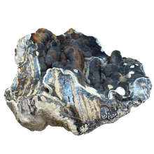 Load image into Gallery viewer, Close-up of the intricate black and blue bubbly textures on this unique agatized coral geode