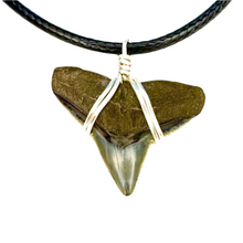 Load image into Gallery viewer, Classic Silver Marine Fossil Necklace