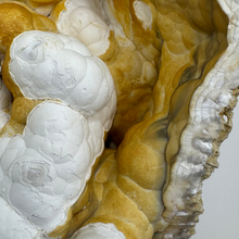 Load image into Gallery viewer, Large White & Orange Agatized Coral Geode