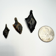 Load image into Gallery viewer, Pick Your Gar Scale