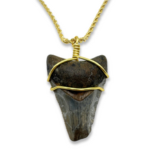 Load image into Gallery viewer, 14K Gold Filled Rope Chain Megalodon Necklace
