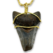 Load image into Gallery viewer, A 14K gold filled rope chain necklace with an authentic megalodon tooth pendant.