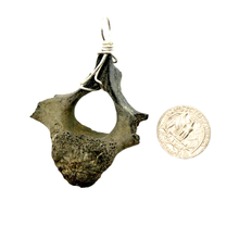 Load image into Gallery viewer, Sterling Silver Dolphin Fossil Vertebrae Pendant Necklace - Oceanic Fossil