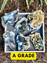 Load image into Gallery viewer, BIG SELECTION Agatized Coral Pieces
