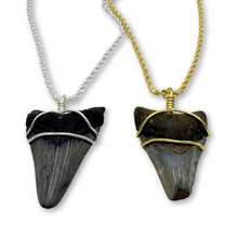 Load image into Gallery viewer, Sterling Silver Rope Chain Megalodon Necklace