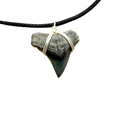 Load image into Gallery viewer, Shark Tooth Necklace for Men and Women Silver Shark Pendant