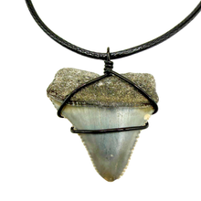 Load image into Gallery viewer, Shark tooth pendant with black wire wrapping on a white background