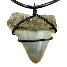 Load image into Gallery viewer, Shark tooth pendant with black wire wrapping on a white background