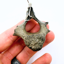 Load image into Gallery viewer, Sterling Silver Dolphin Fossil Vertebrae Pendant Necklace - Oceanic Fossil