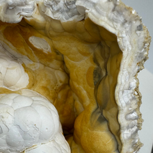 Load image into Gallery viewer, Large White & Orange Agatized Coral Geode