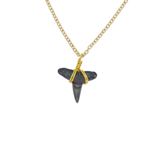 Load image into Gallery viewer, Dainty 14K Gold Filled Marine Fossil Necklace