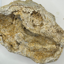 Load image into Gallery viewer, Large White & Orange Agatized Coral Geode