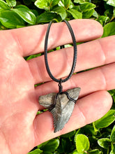 Load image into Gallery viewer, Snaggletooth Marine Fossil Necklace
