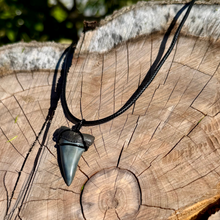 Load image into Gallery viewer, Mako Shark Marine Fossil Necklace