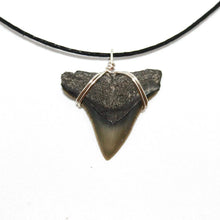 Load image into Gallery viewer, JJ Maybank Style Shark Necklace