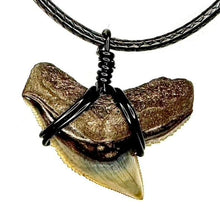 Load image into Gallery viewer, Tiger Shark Marine Fossil Necklace