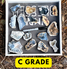 Load image into Gallery viewer, BIG SELECTION of Agatized Coral Pieces