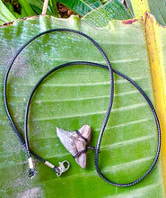 Load image into Gallery viewer, Snaggletooth Marine Fossil Necklace