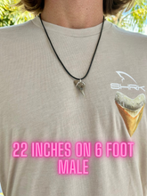 Load image into Gallery viewer, Real, ancient, ethically found Snaggletooth shark fossil -Lower positioned teeth like these are shaped like daggers, while upper position are wider with serrations  Found digging and scuba diving ancient Florida. Beautiful natural dagger shape.
