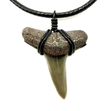 Load image into Gallery viewer, Lemon Shark Fossil Necklace