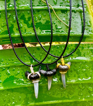 Load image into Gallery viewer, Sand Tiger Shark Marine Fossil Necklace